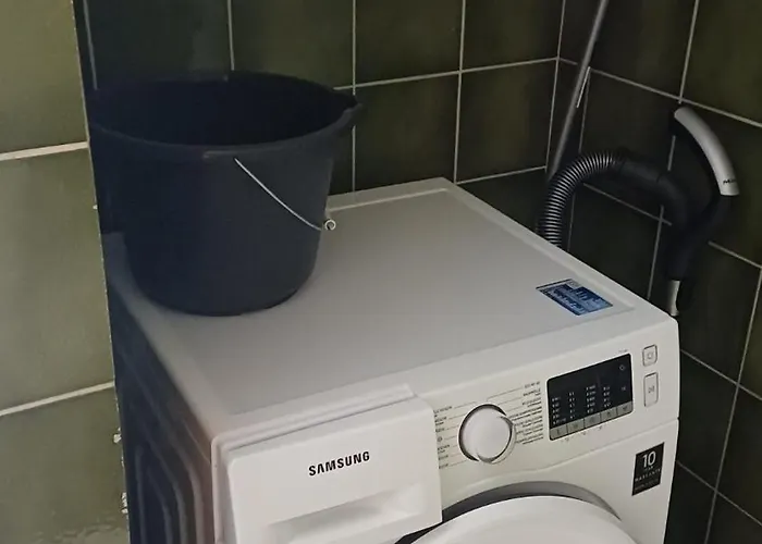 Lejlighed Rivalago - Front On Promenade Brissago