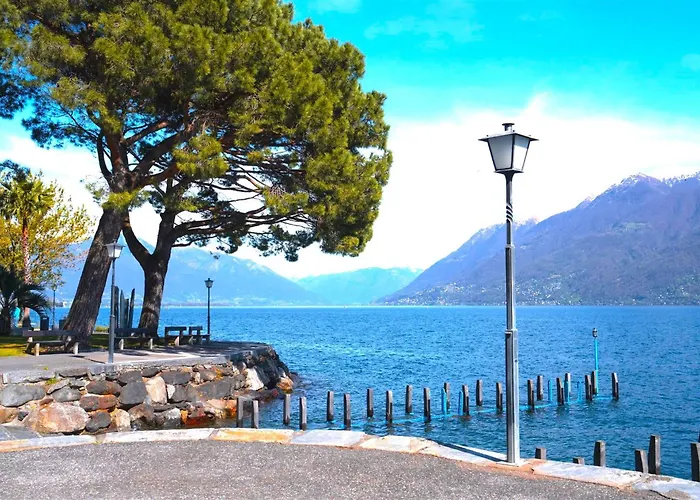 Rivalago - Front On Promenade